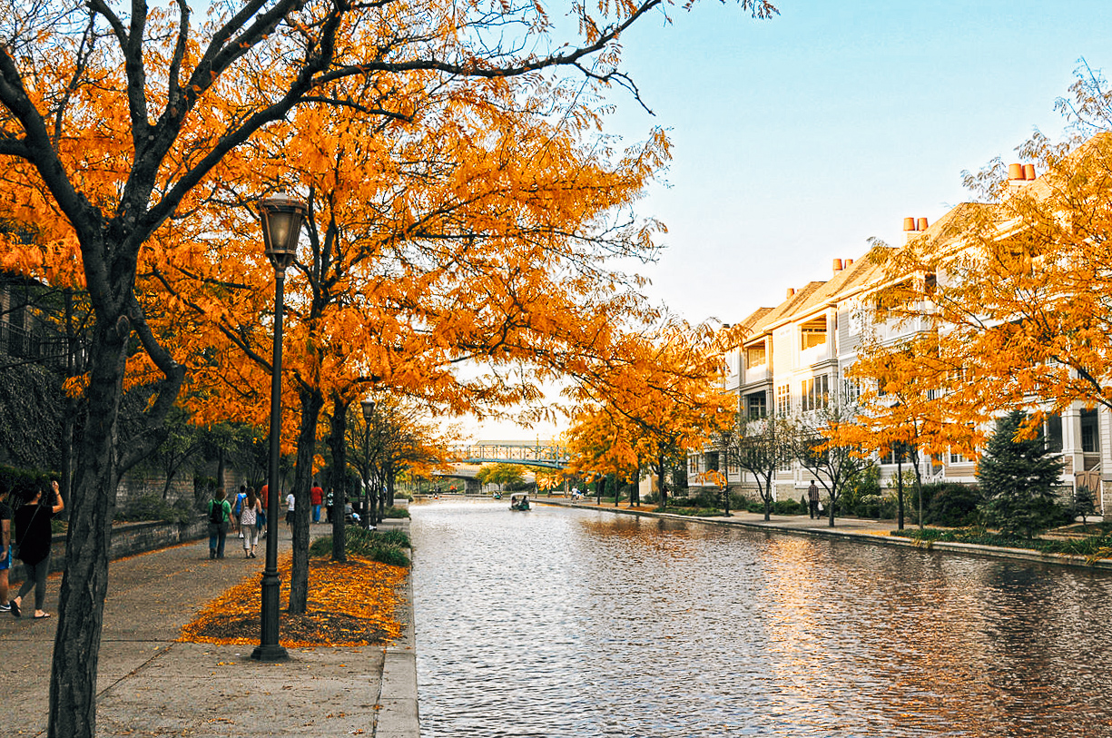 orange autumn leaves on trees along canal