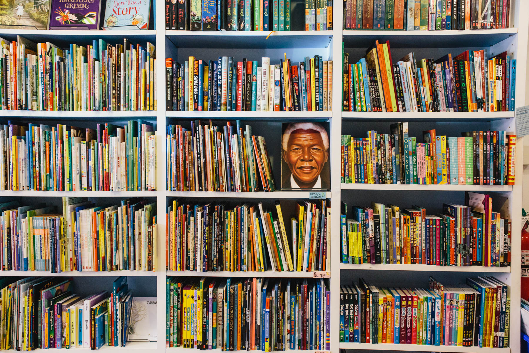 books on shelves at stories bookshop in brooklyn, ny